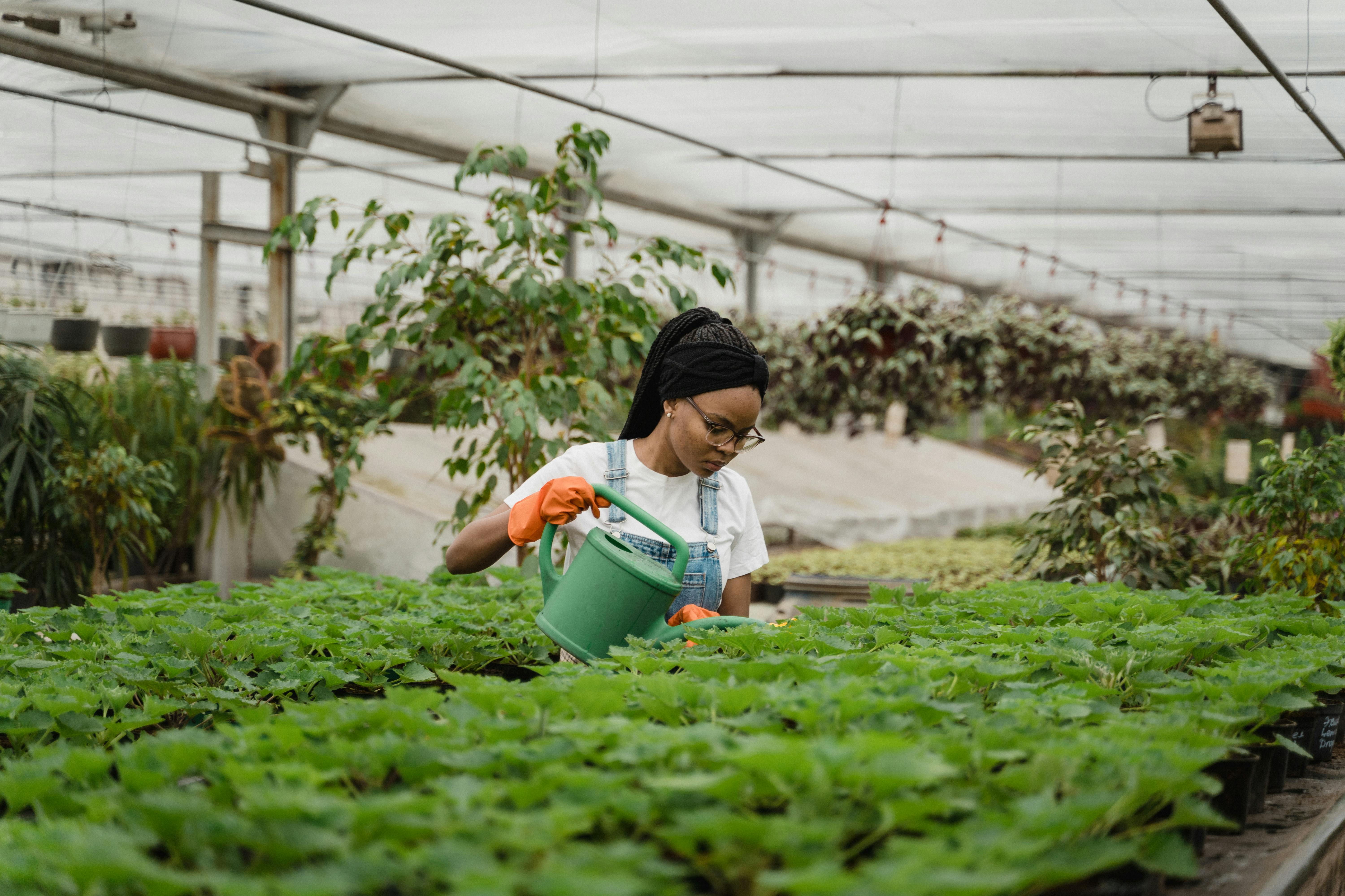 Manual garden watering service