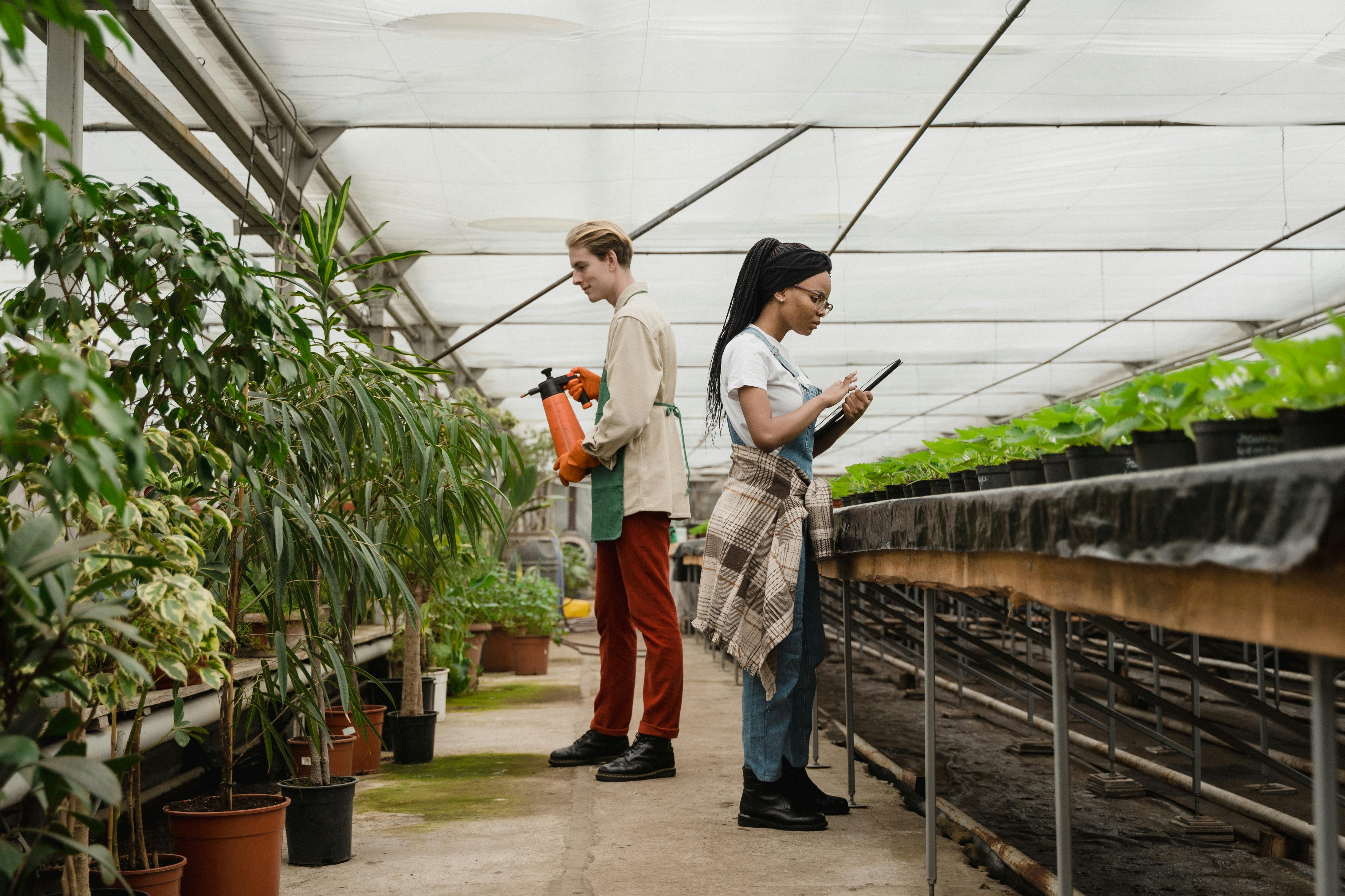 Seasonal garden maintenance